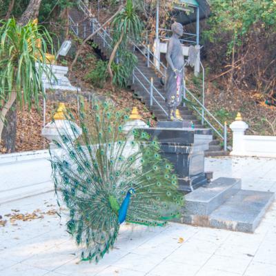 วัดเทพพิทักษ์ปุณณาราม