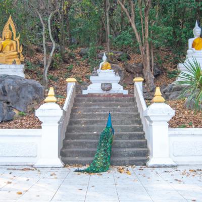 วัดเทพพิทักษ์ปุณณาราม